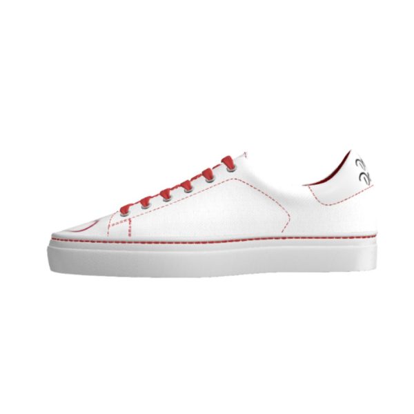 DS19 Red Heart Leather - Image 5